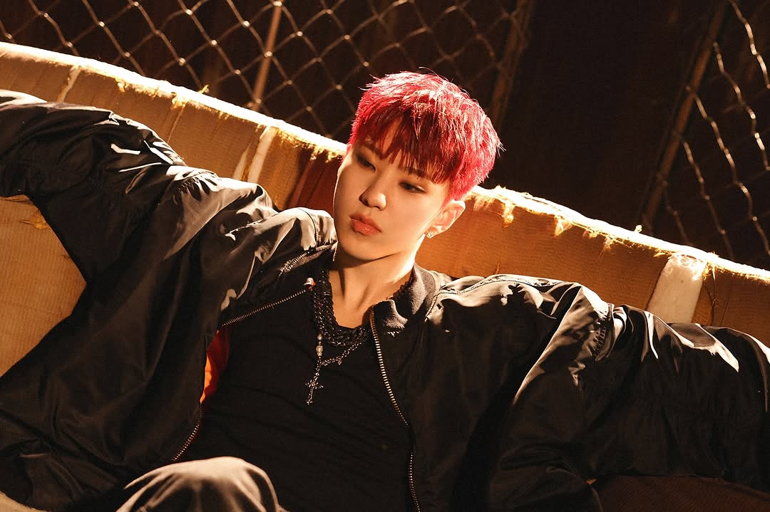 A moment captured by Hoshi (SEVENTEEN)'s fan