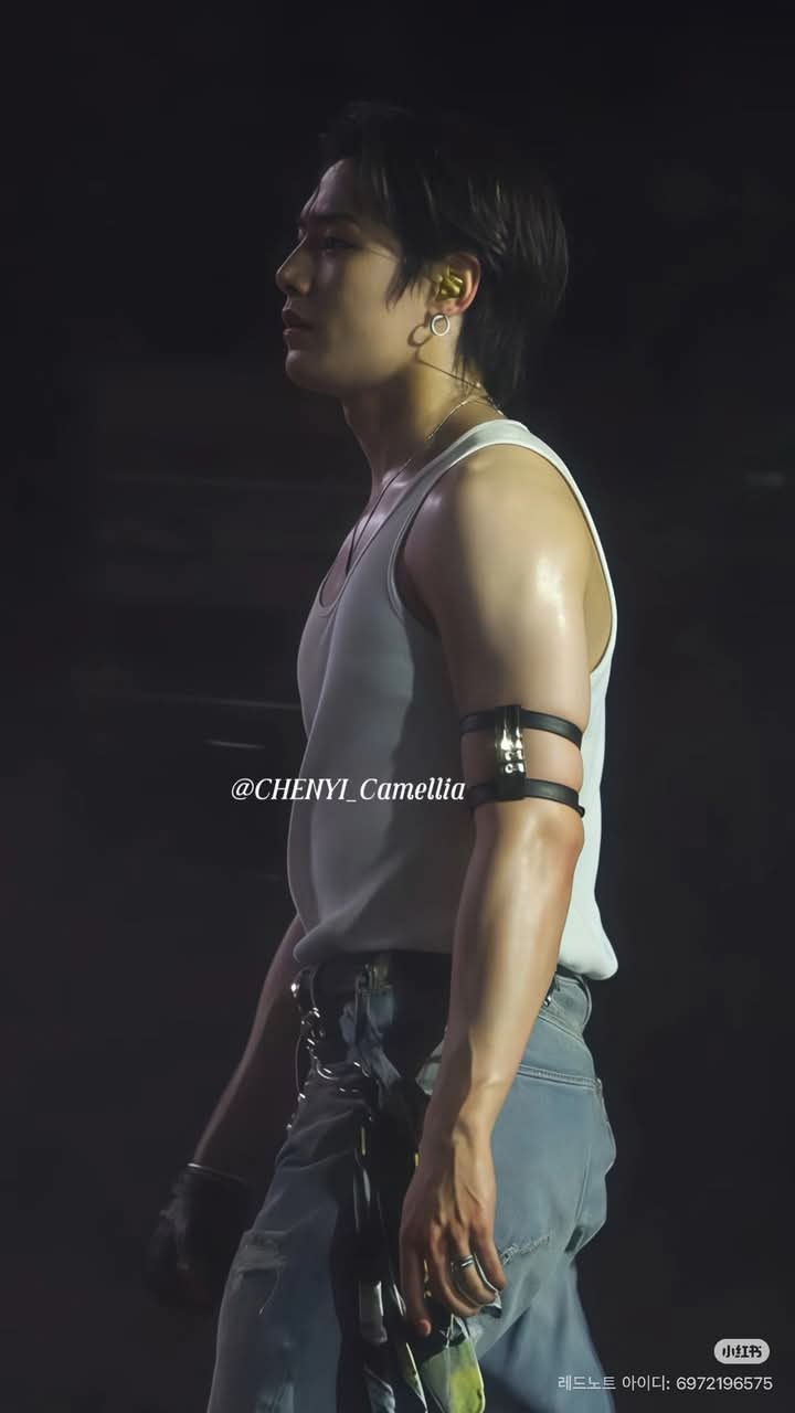 A moment captured by I.N (Stray Kids)'s fan