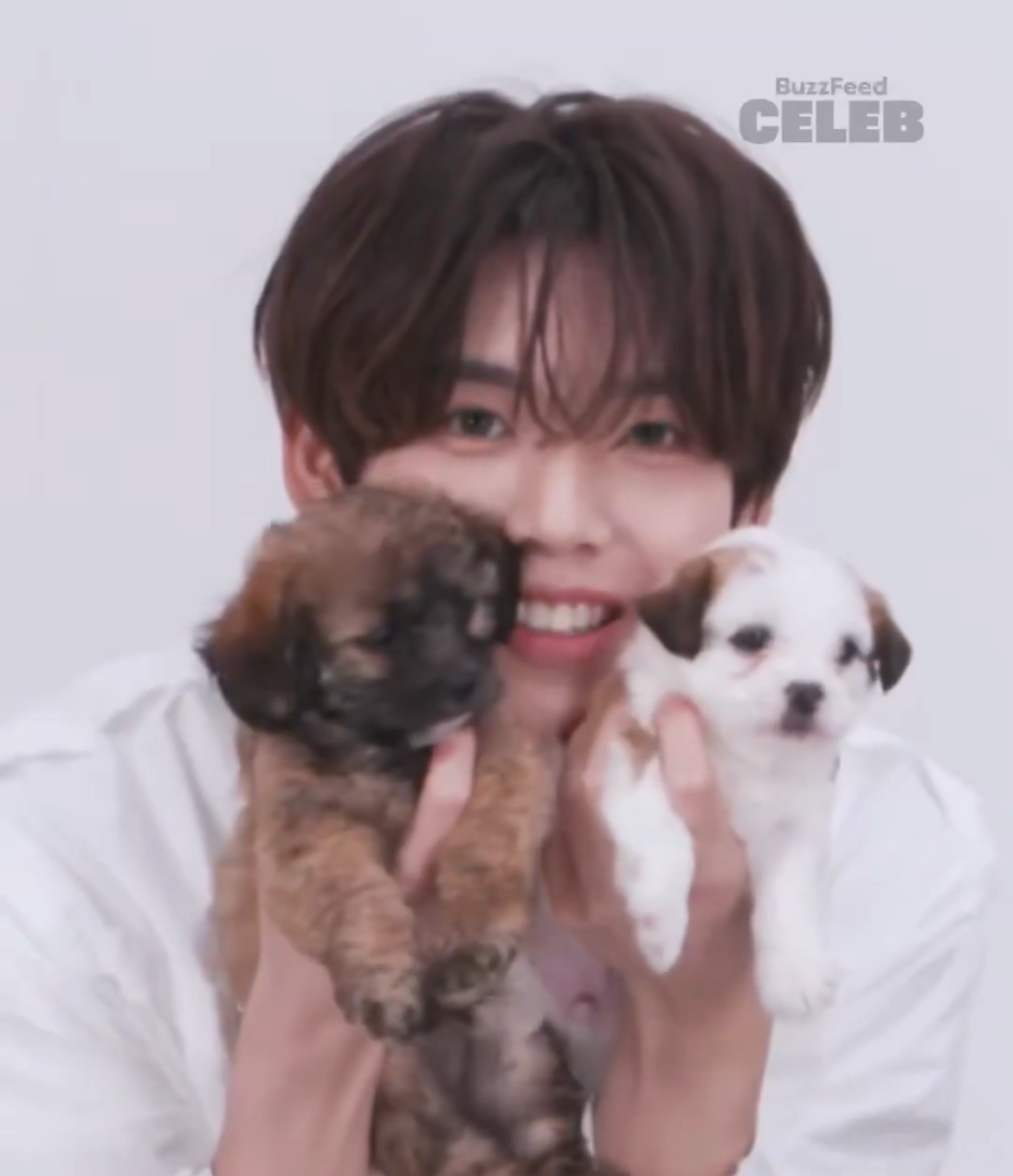 A moment captured by Han Yujin (ZEROBASEONE)'s fan