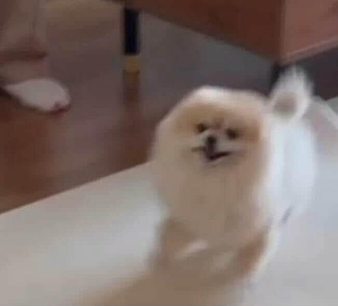 리사 (BLACKPINK)의 비하인드 컷