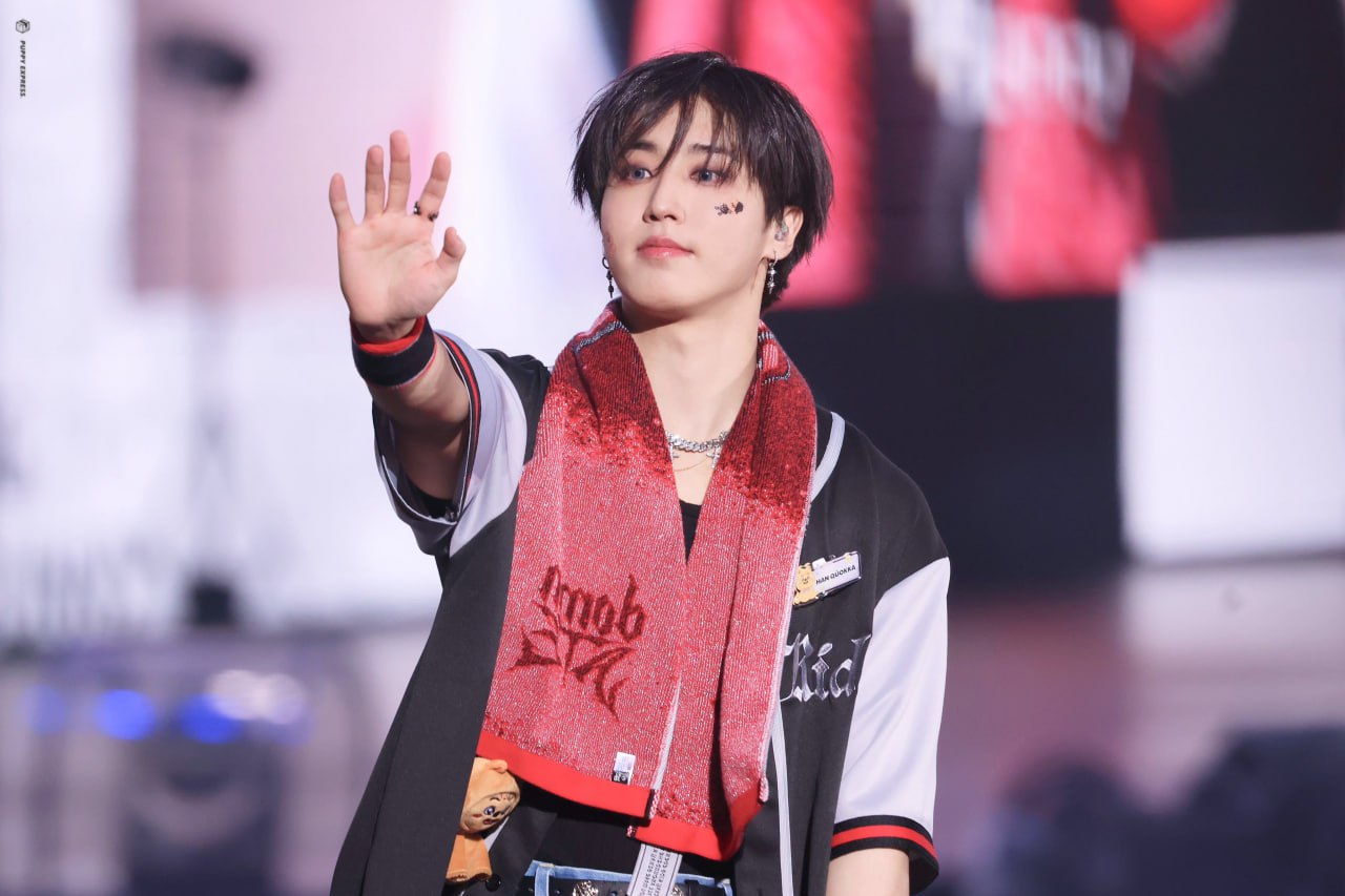 한 (Stray Kids) 팬이 찍은 순간
