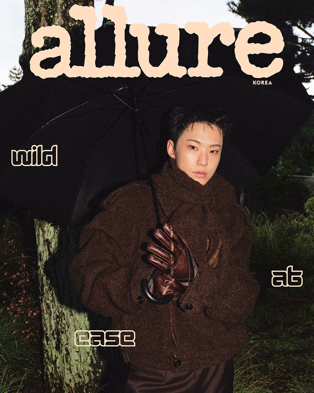 호시 (세븐틴) 팬이 찍은 순간
