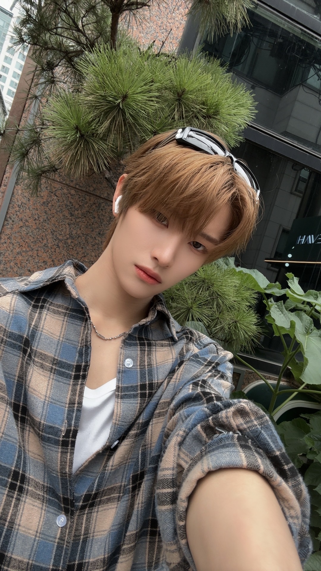 The most beloved wallpaper among Chen Kaiwen's fans