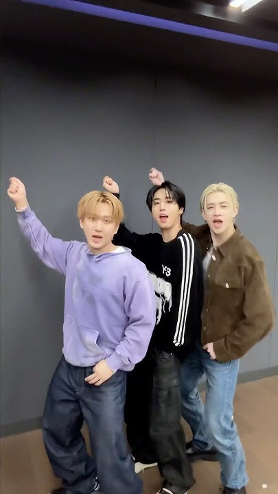 Stray Kids 최근 활동샷