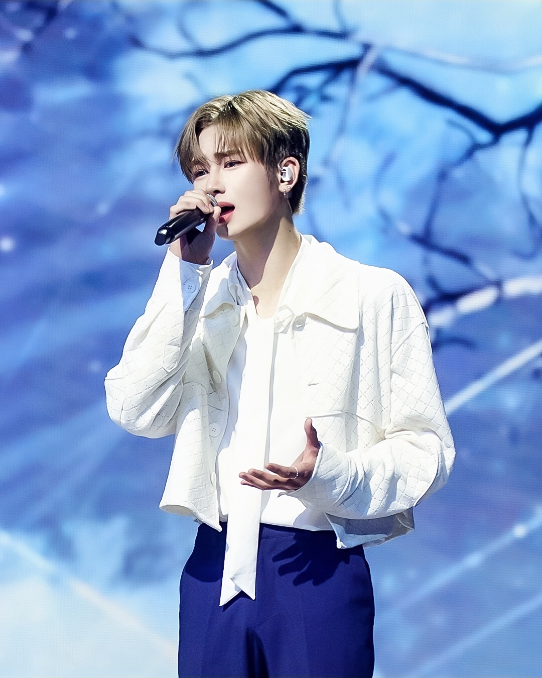 A moment captured by Zhou Anxin's fan