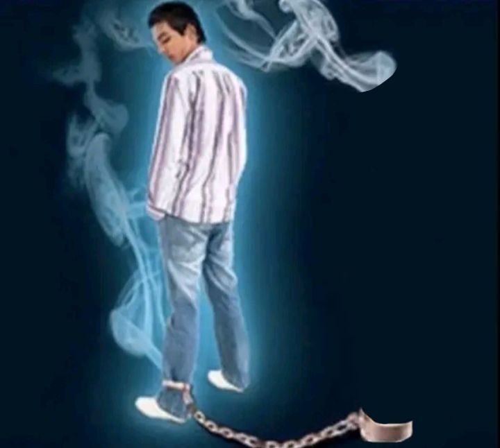 Recent activity shot of Rui (XLOV)