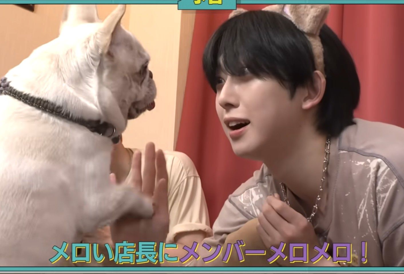 Fuma (&TEAM)的最新照片