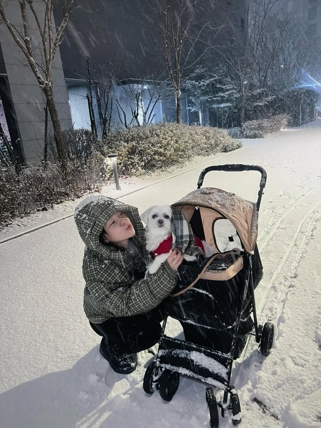 Latest photo of Yeri (Red Velvet)