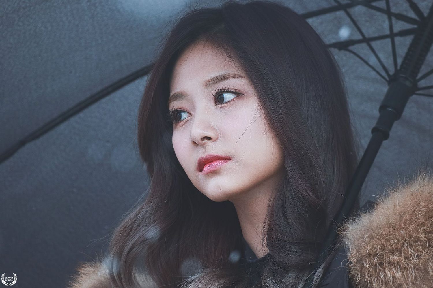 Recent activity shot of Tzuyu (TWICE)