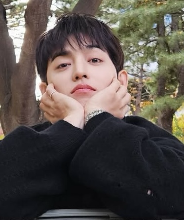 Latest photo of S.Coups (SEVENTEEN)