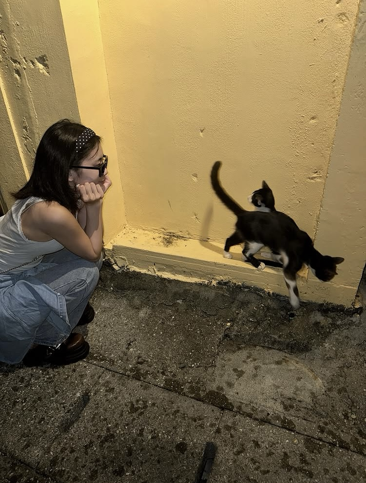 Latest photo of Sasaki Kokona (ME:I)