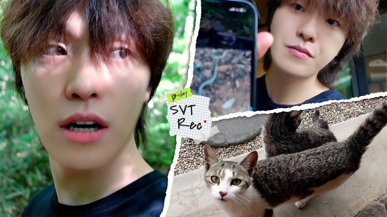 Behind-the-scenes cut of Dino (SEVENTEEN)