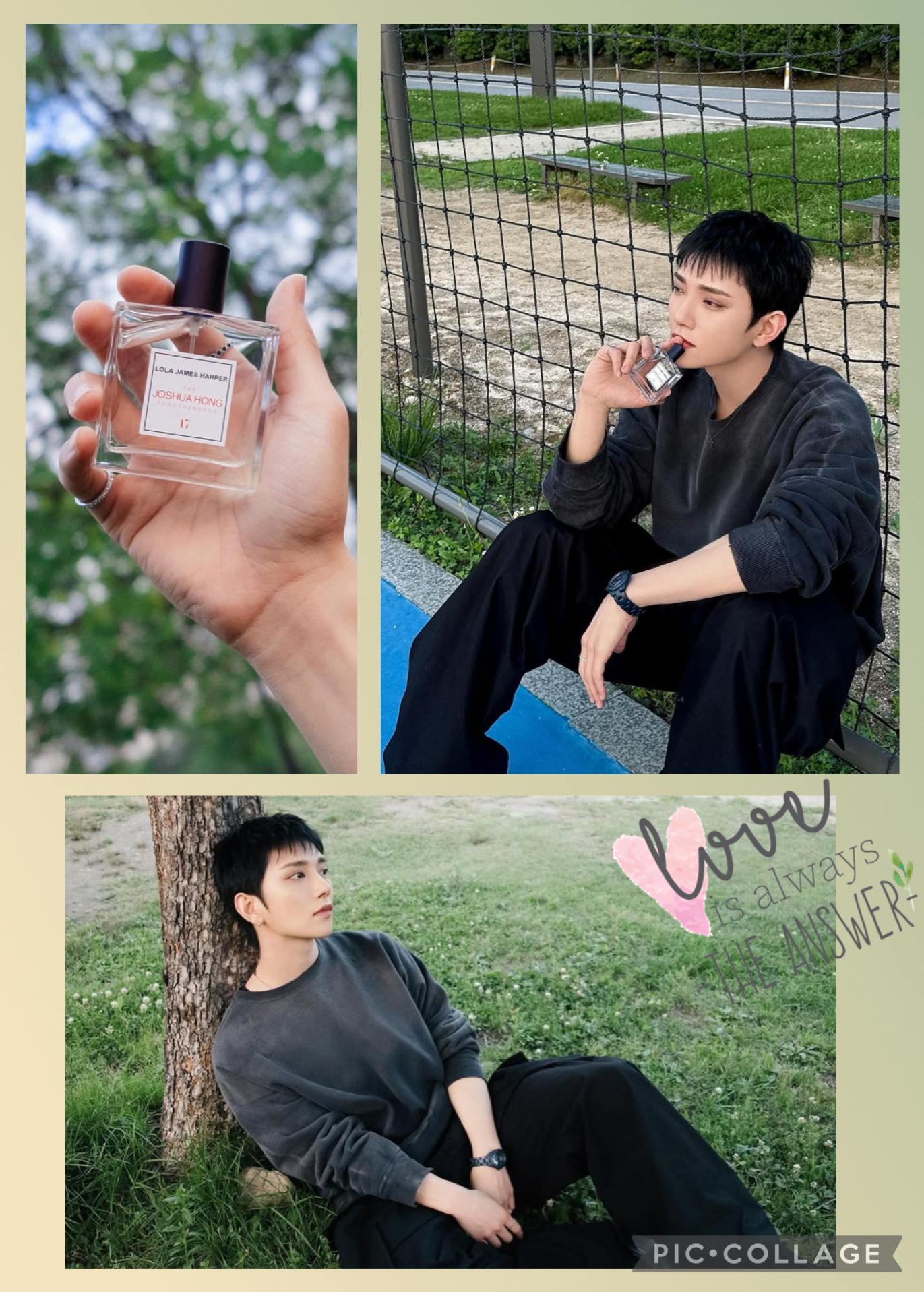 A moment captured by Joshua (SEVENTEEN)'s fan