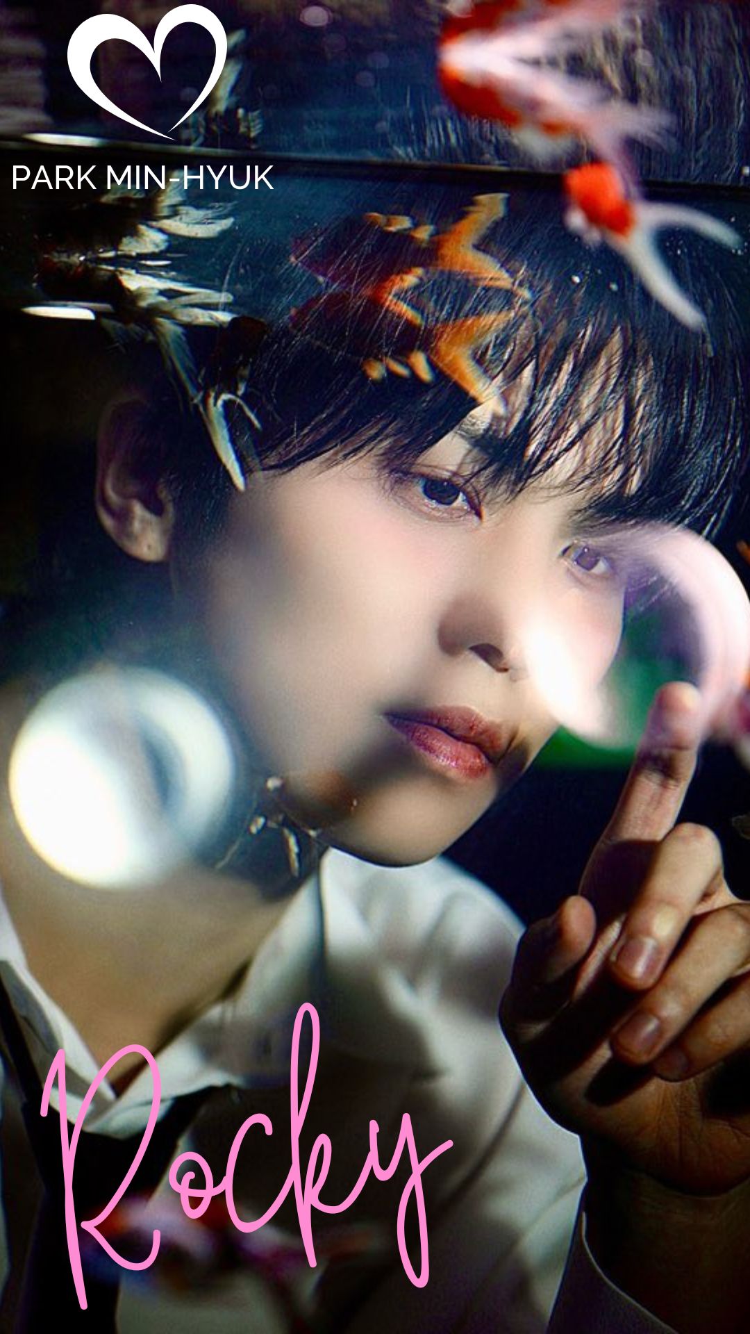 A moment captured by Rocky's fan