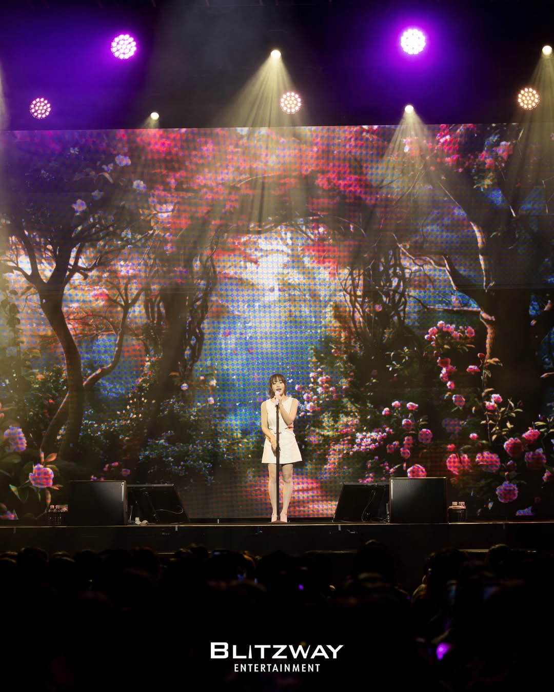 Red Velvet的最新照片