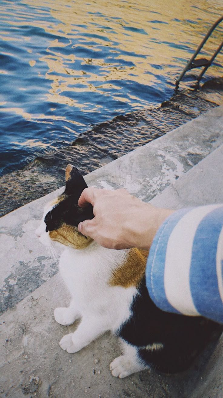 Today's most popular wallpaper in the Jimin (BTS) community