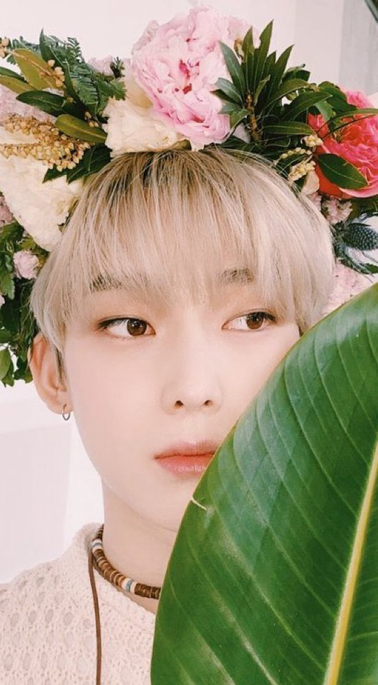 The most beloved wallpaper among Sunoo (ENHYPEN)'s fans