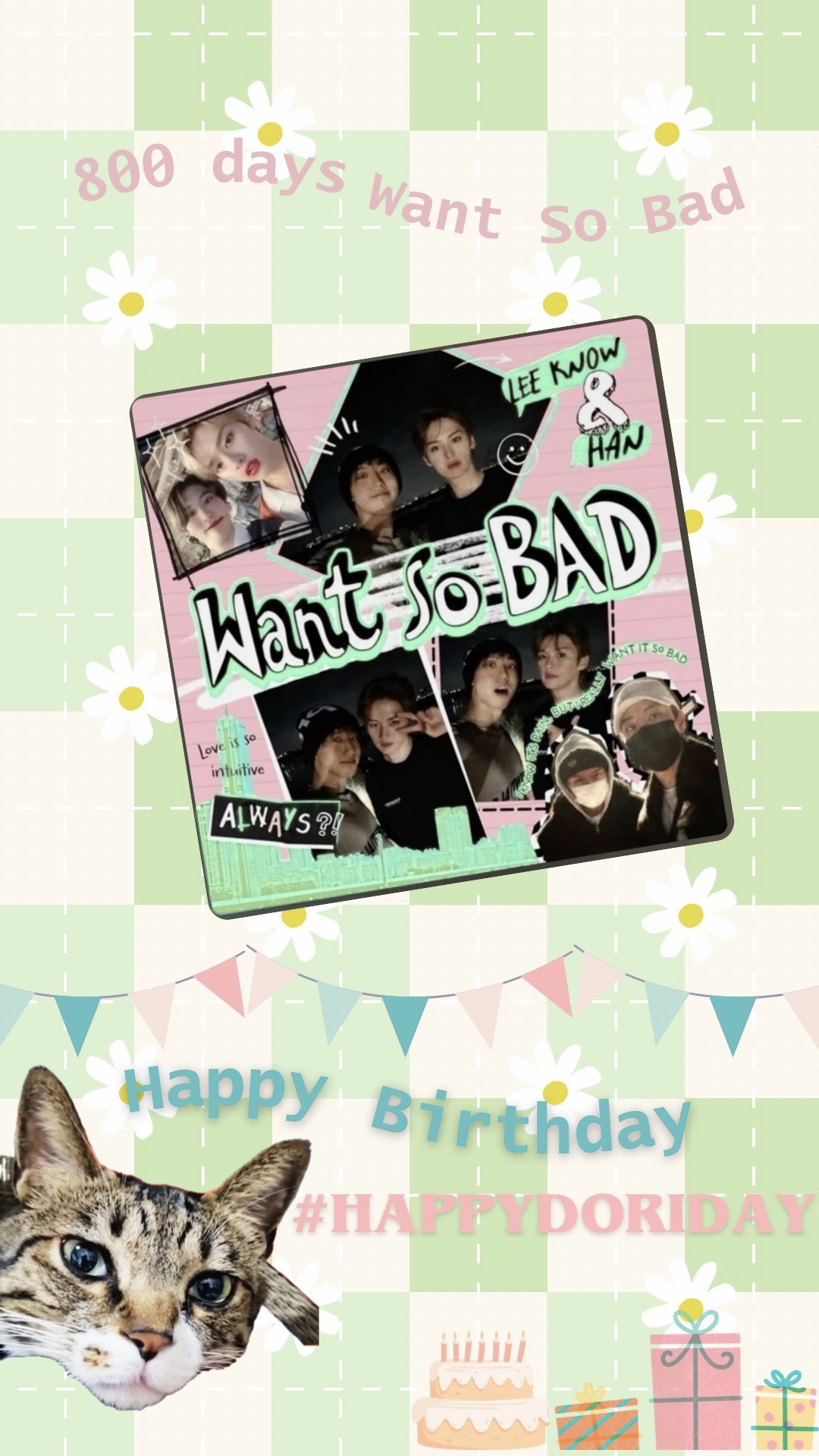 A moment captured by HAN (Stray Kids)'s fan