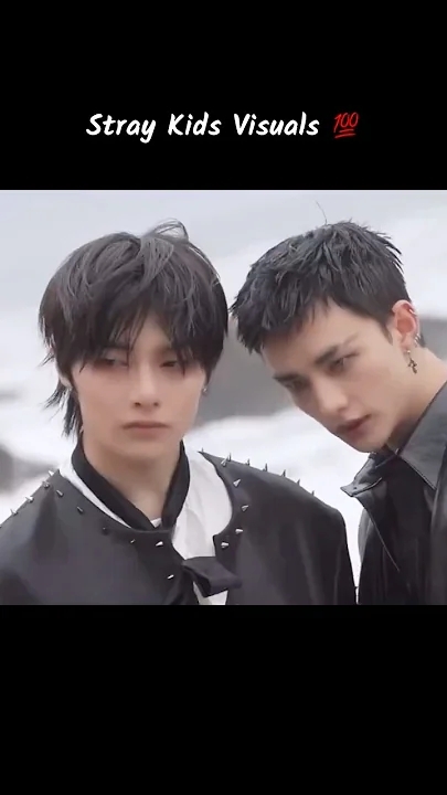 Stray Kids 최근 활동샷