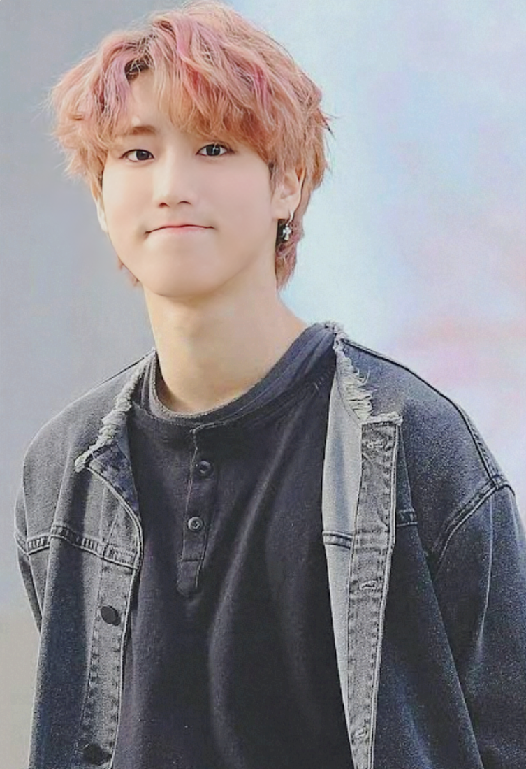 A moment captured by HAN (Stray Kids)'s fan