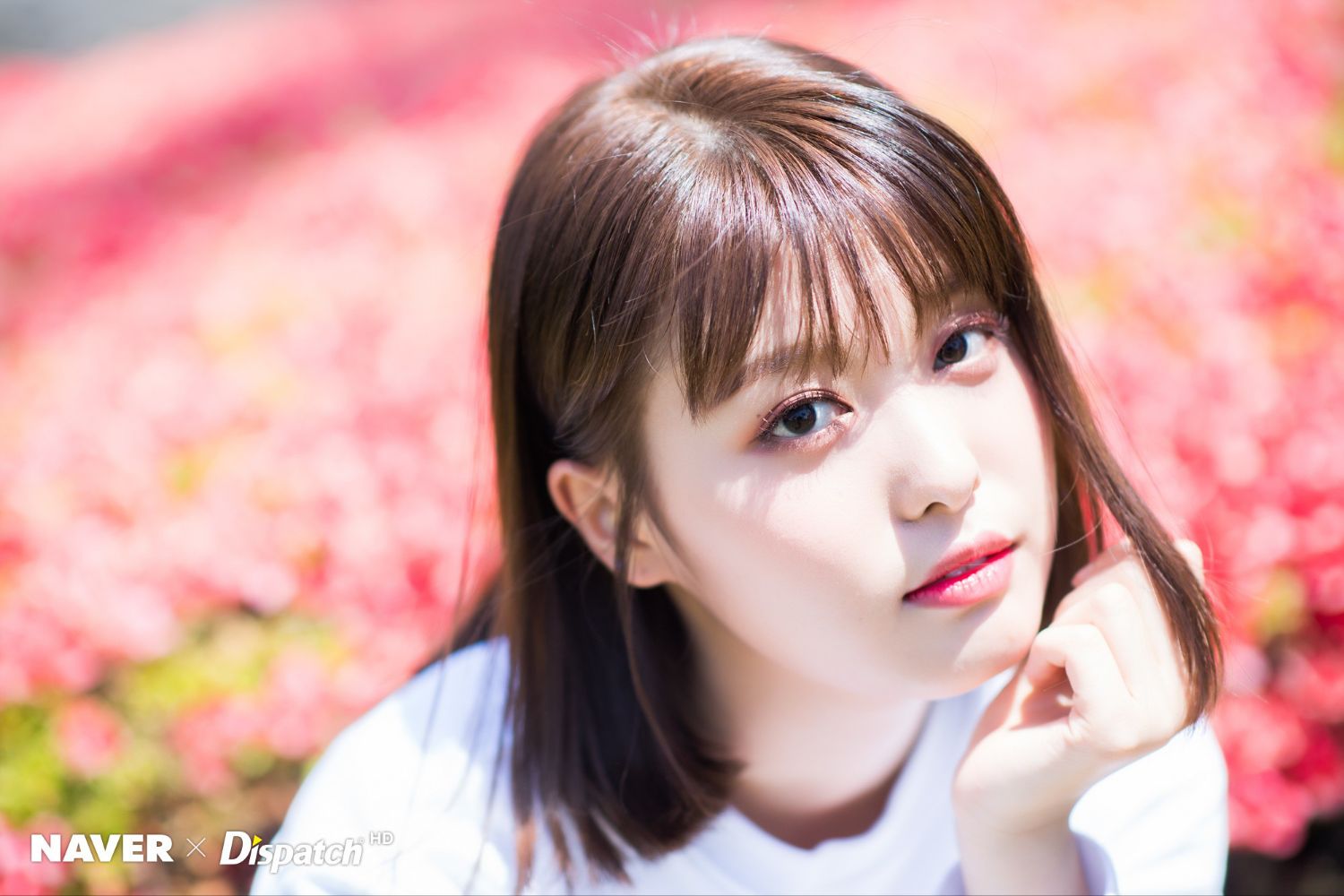 Recent activity shot of MOMOLAND