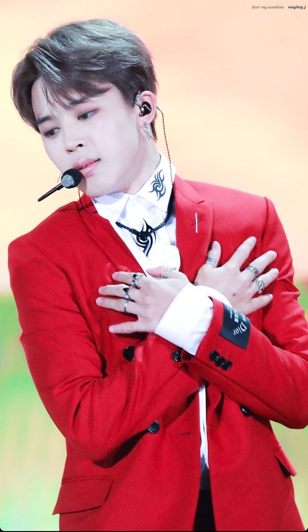 A moment captured by Jimin (BTS)'s fan