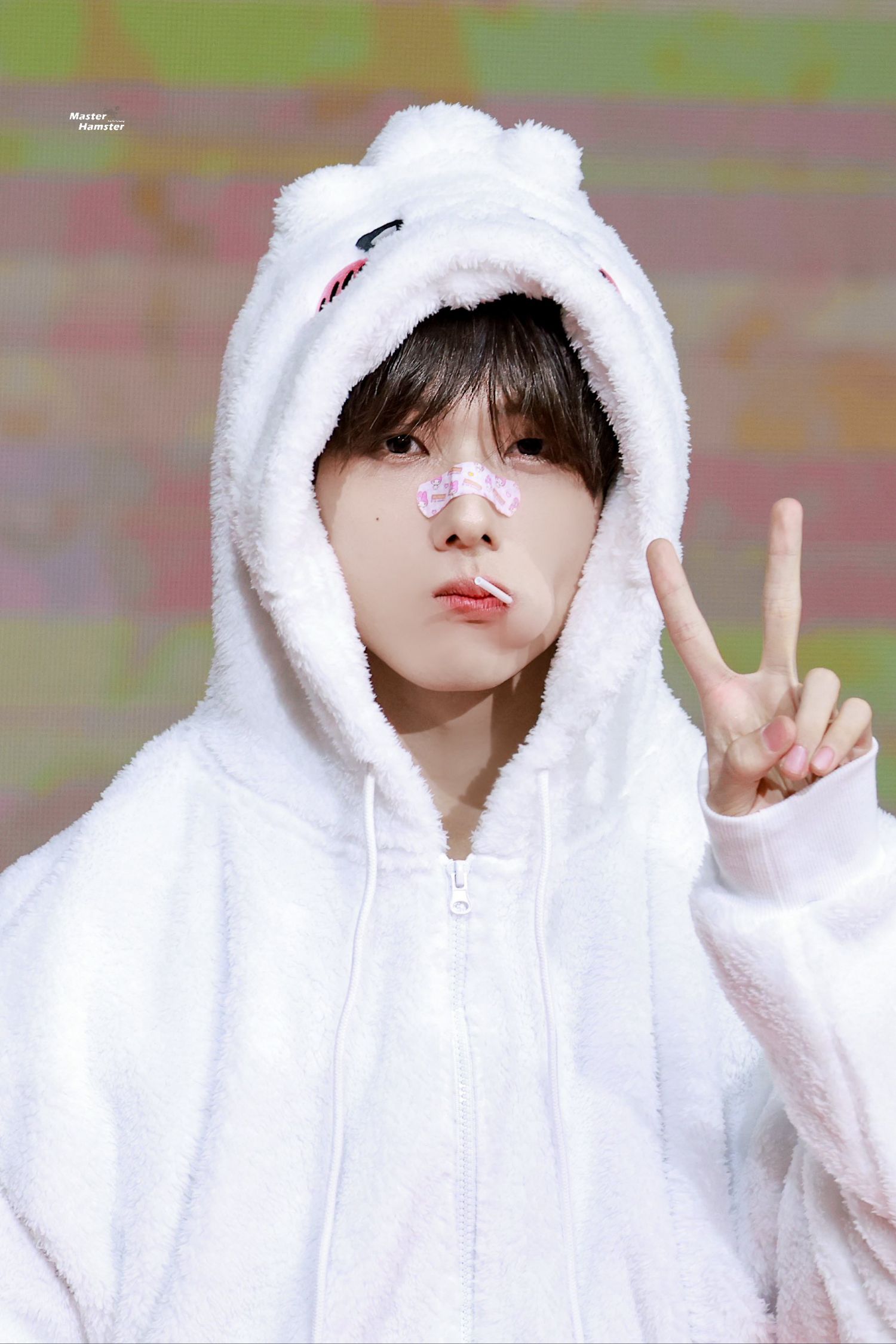 志晟 (NCT DREAM)粉絲拍下的瞬間