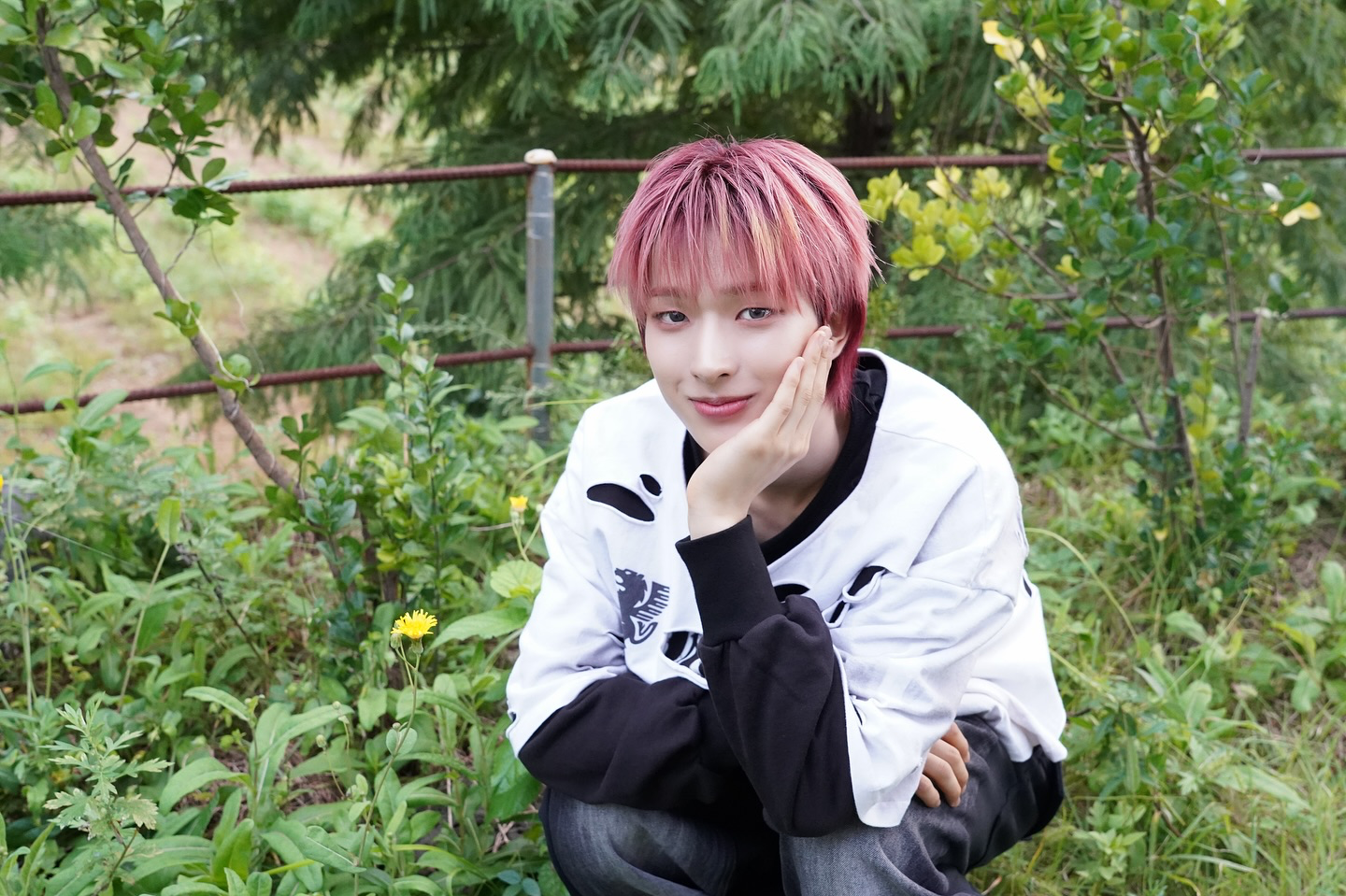 A moment captured by Tomoya (NEXZ)'s fan