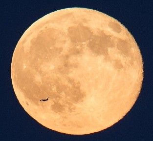 Recent activity shot of Moonbin (ASTRO)