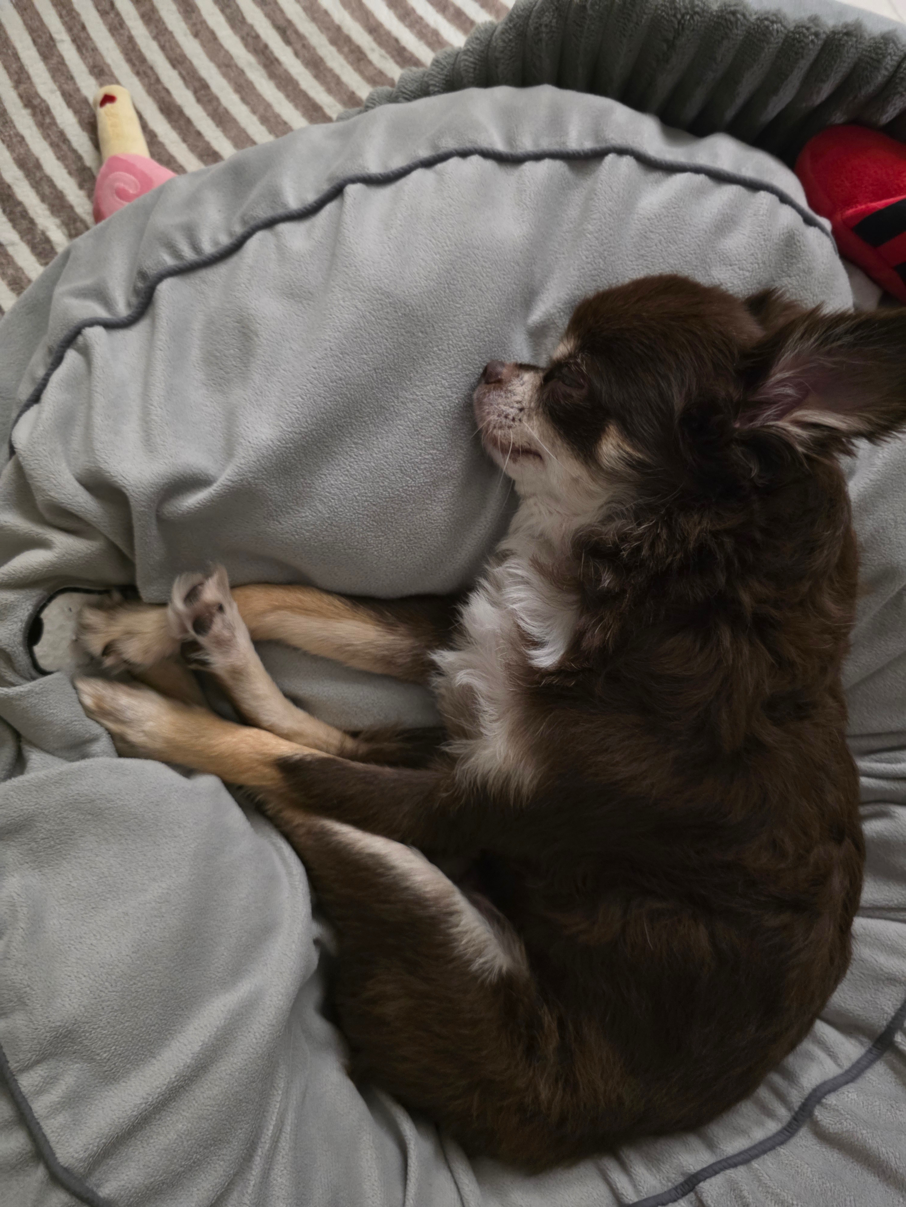 Latest photo of CORTIS