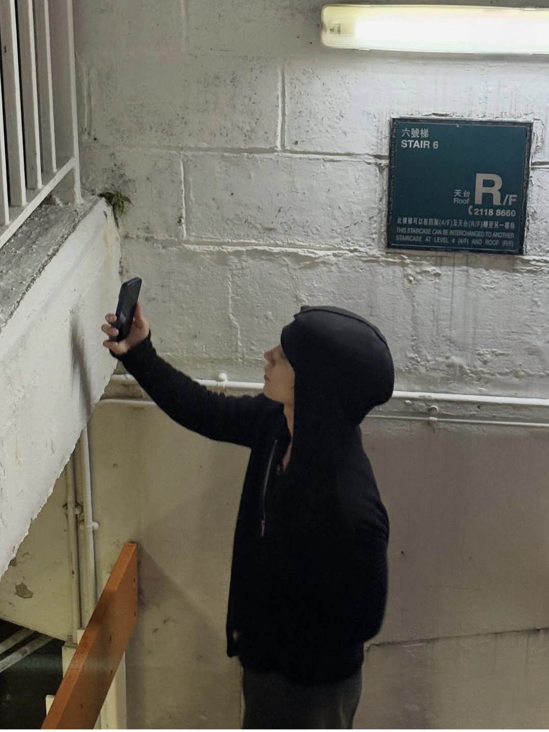 A moment captured by Joshua (SEVENTEEN)'s fan