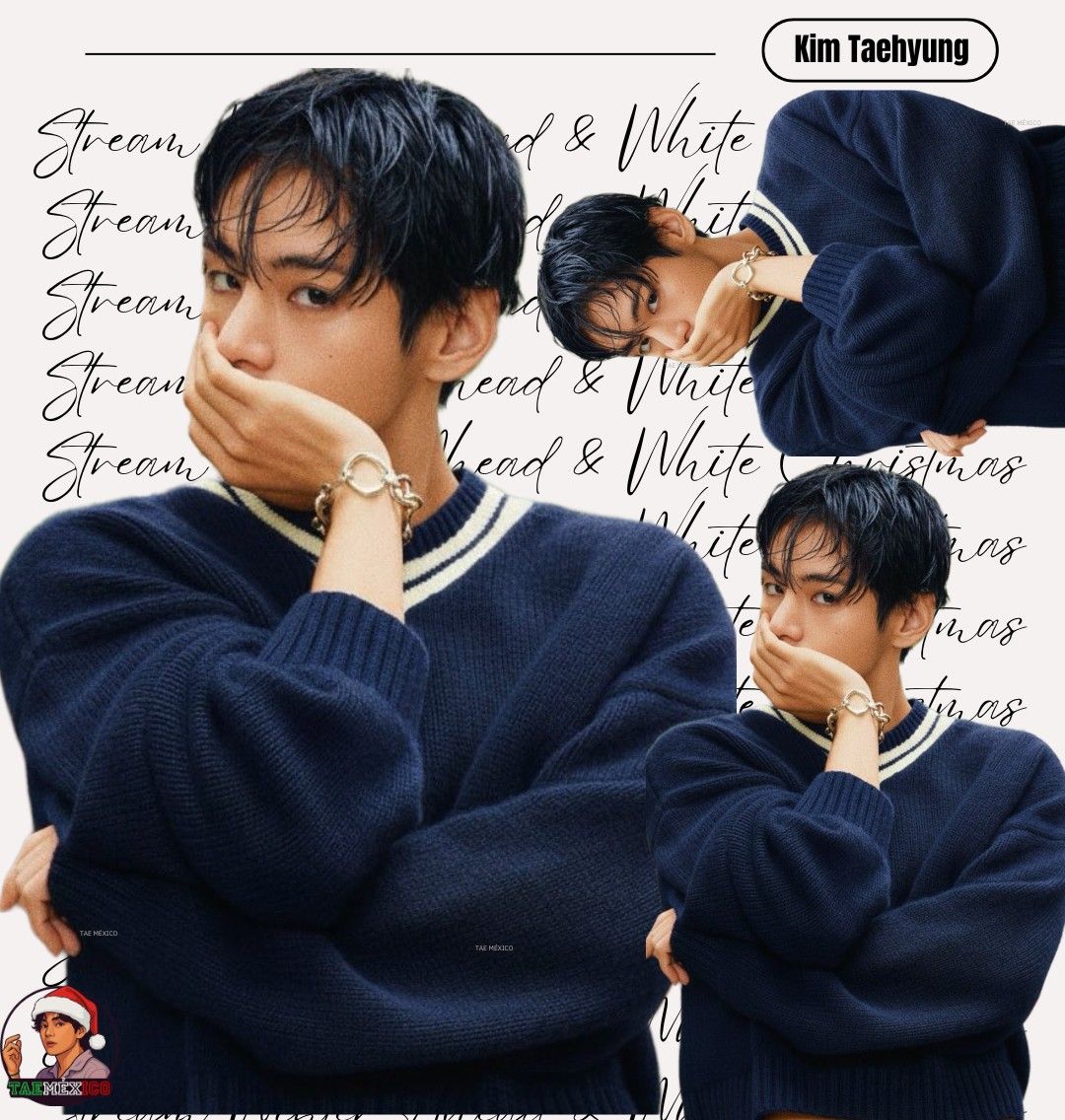 Behind-the-scenes cut of V (BTS)