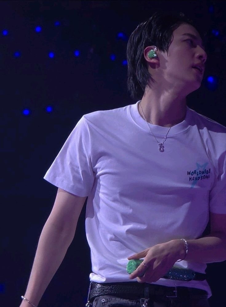 진 (방탄소년단) 팬이 찍은 순간