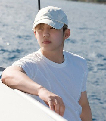 A moment captured by S.Coups (SEVENTEEN)'s fan