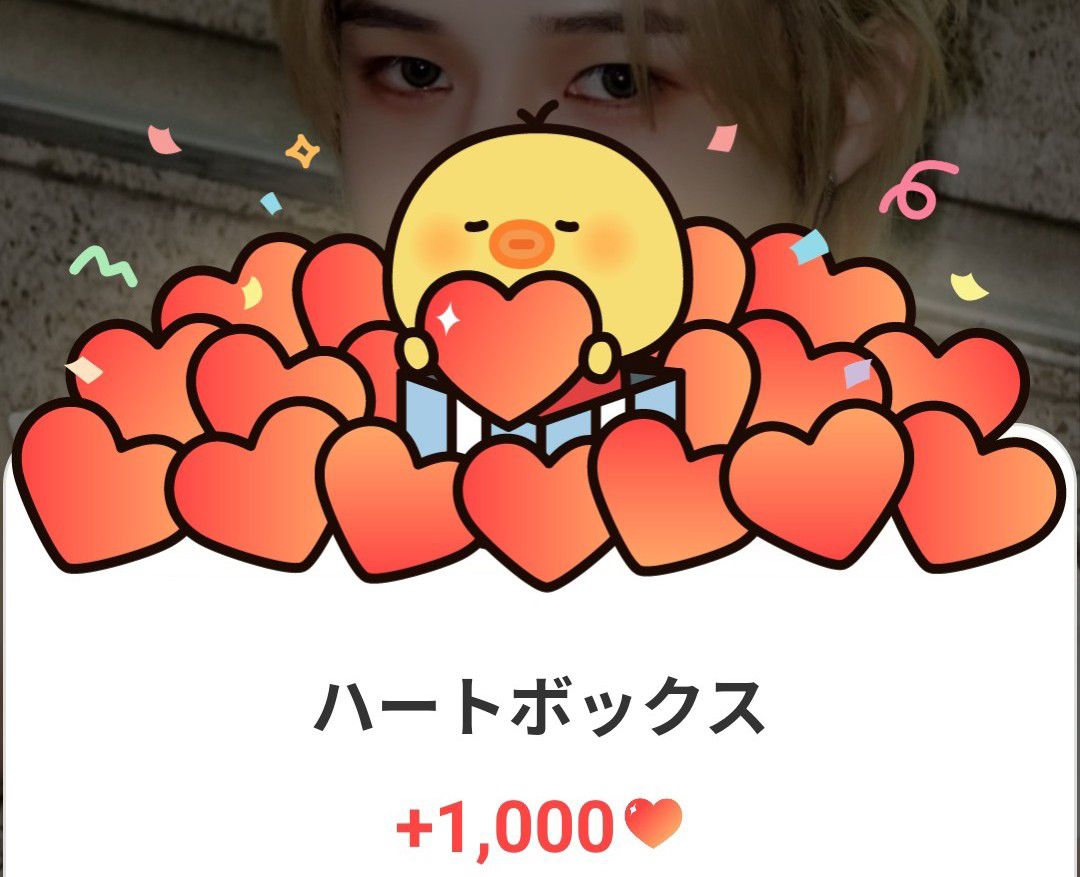 K (&TEAM)的最新照片