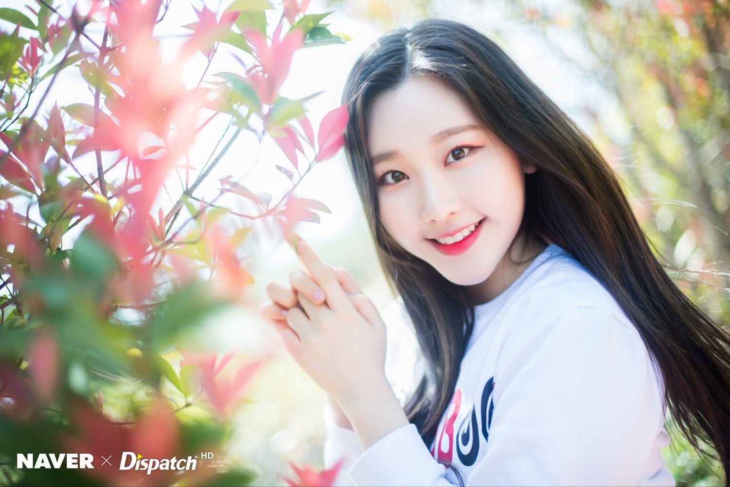 Momen yang diabadikan oleh penggemar MOMOLAND