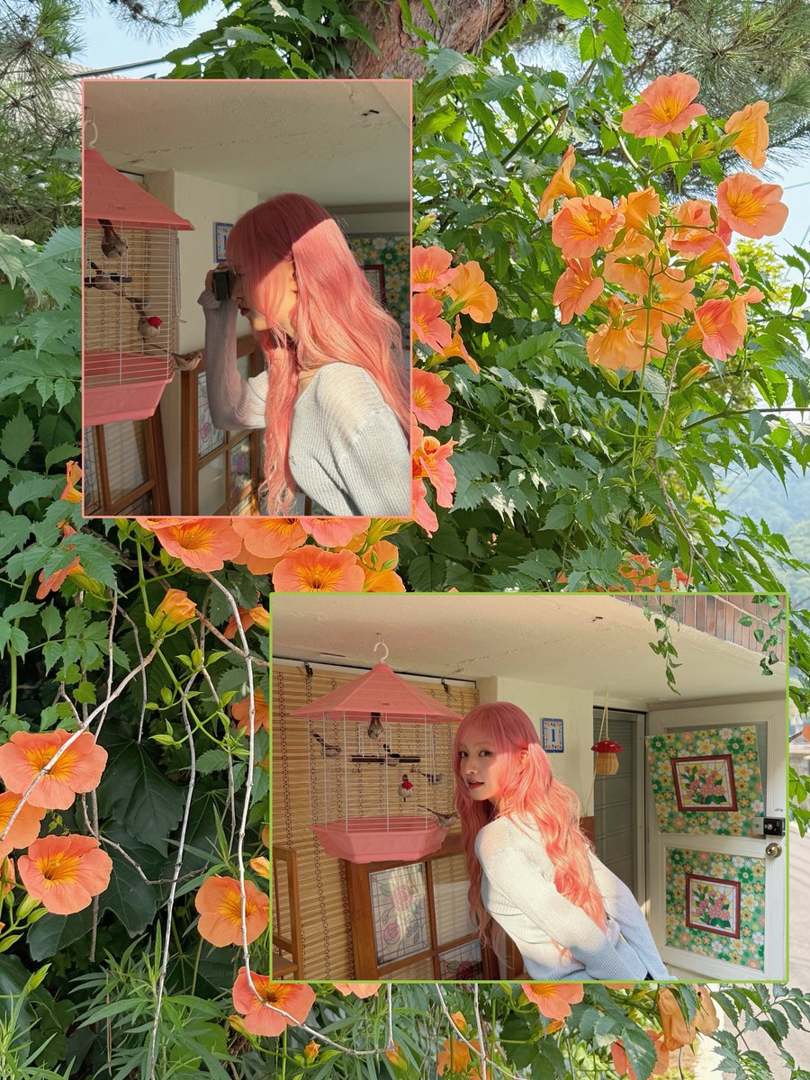 A moment captured by IVE's fan
