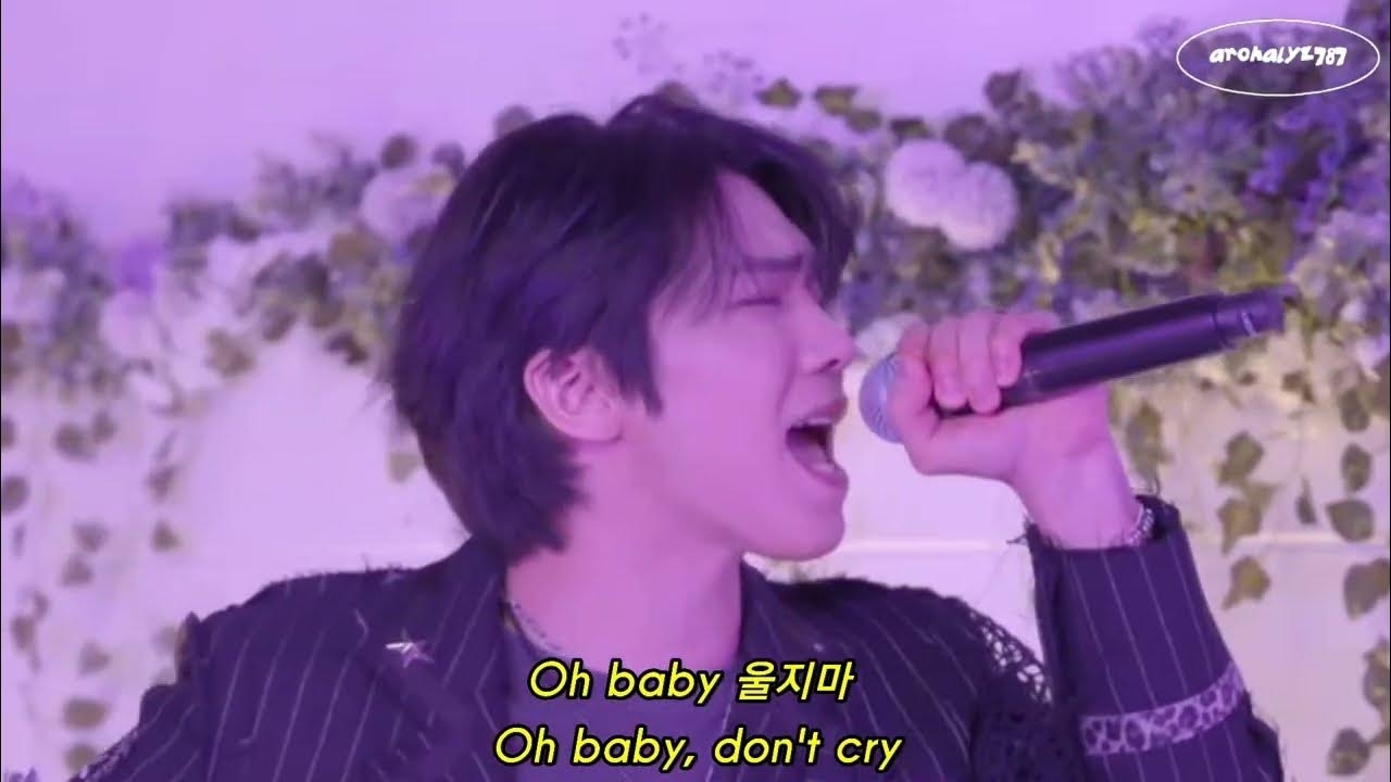 Latest photo of Rocky