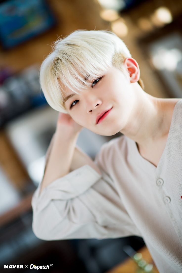 세븐틴 팬이 찍은 순간