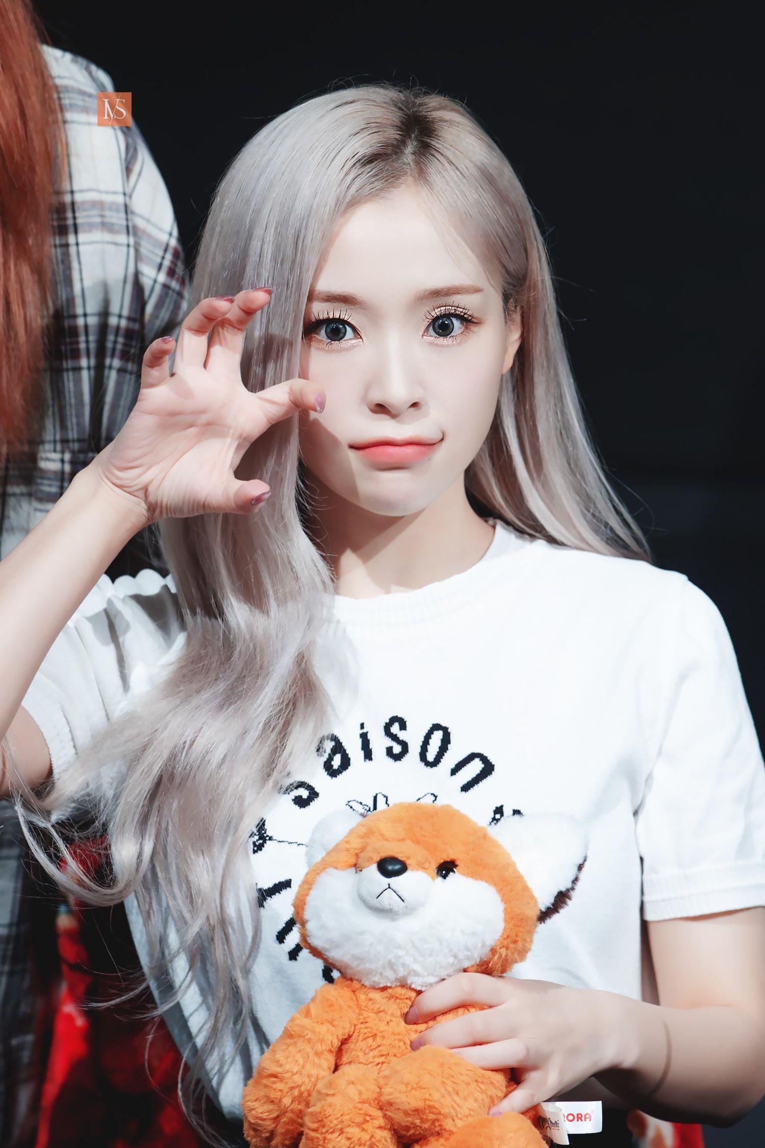 Recent activity shot of Gahyun (DREAMCATCHER)
