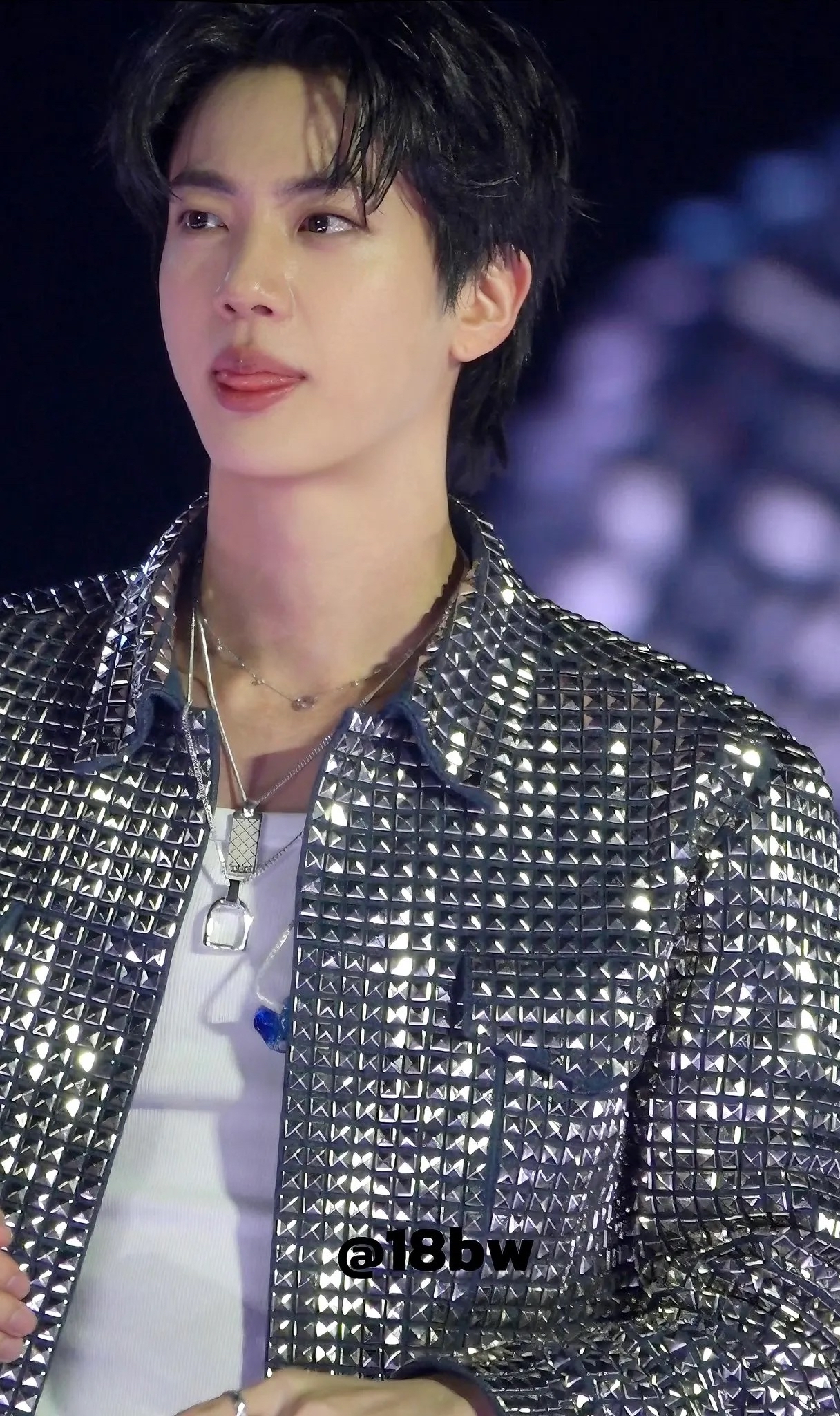 진 (방탄소년단) 팬이 찍은 순간