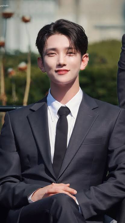 A moment captured by Joshua (SEVENTEEN)'s fan
