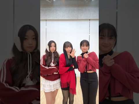 SECRET NUMBER 팬이 찍은 순간