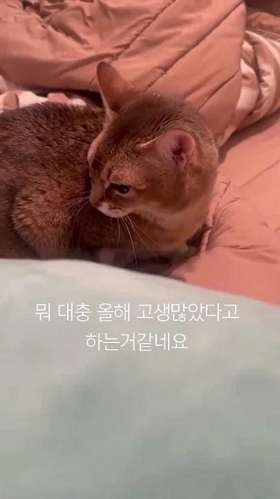 강다니엘 커뮤니티에서 인기있는 오늘의 배경화면