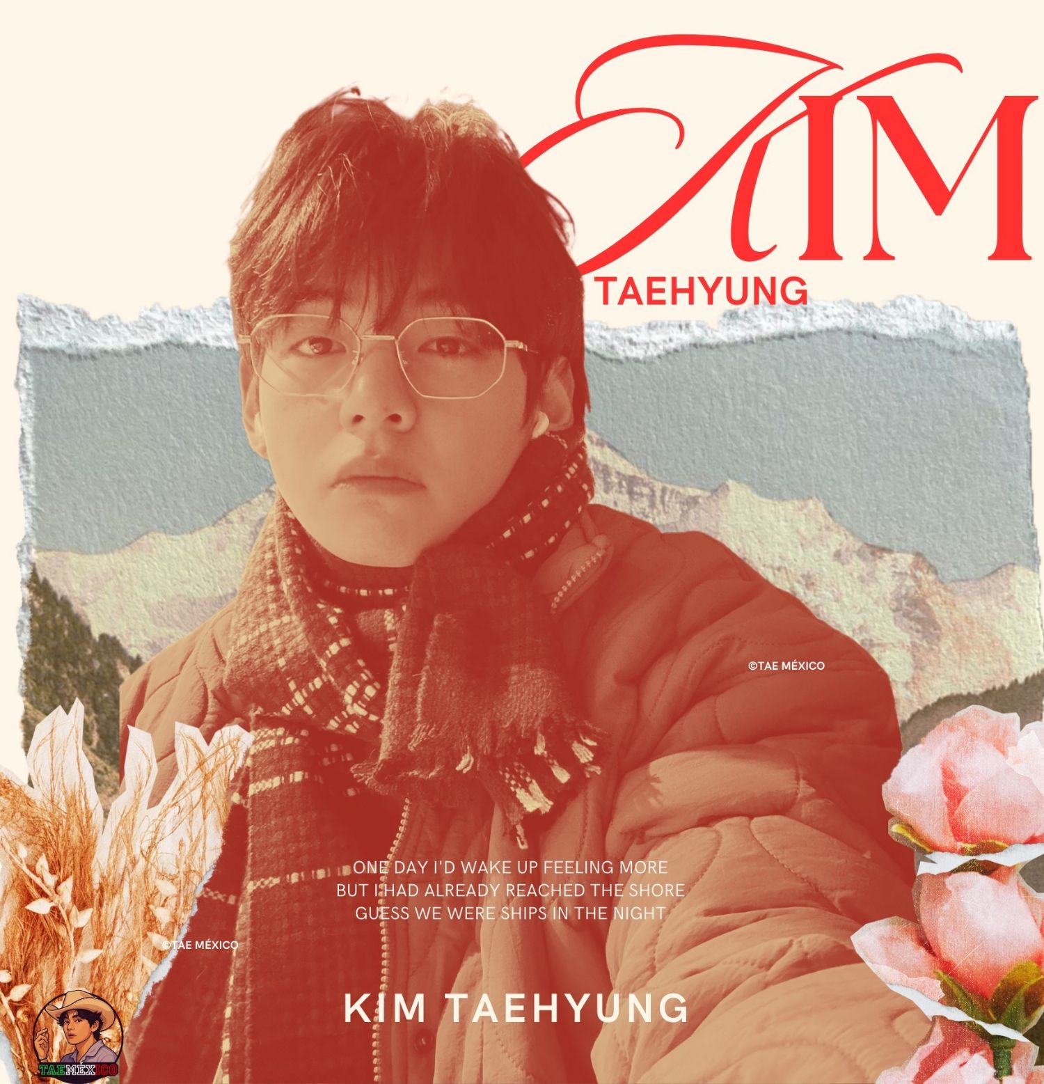 뷔 (방탄소년단) 팬이 찍은 순간