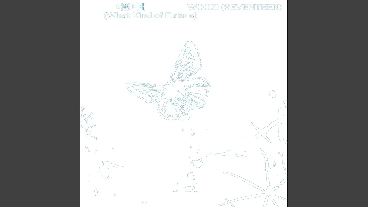 A moment captured by Woozi (SEVENTEEN)'s fan