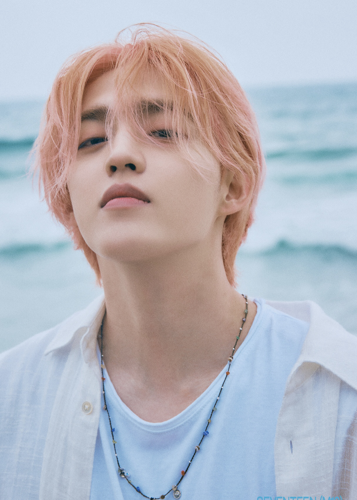 Momen yang diabadikan oleh penggemar S.Coups (SEVENTEEN)