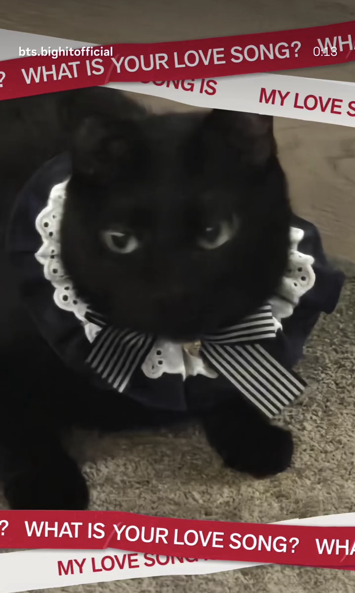 SUGA (BTS)の最新写真