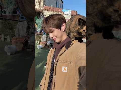 Recent activity shot of Kang Daniel
