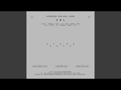 세븐틴 팬이 찍은 순간